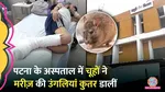A differently-abled patient Admitted In alleged rats gnawed off his right toes while he was asleep in Patna's NMCH